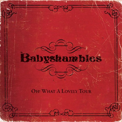 Oh What a Lovely Tour (Live) - Babyshambles