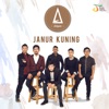 Janur Kuning - Single