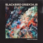 Blackbird Blackbird - Hold On