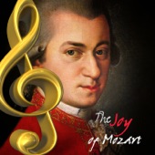 The Joy of Mozart artwork