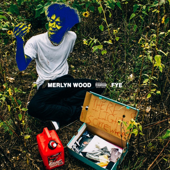 Cover artwork for Fye