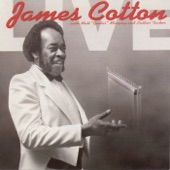 James Cotton Live at Antone's Nightclub artwork