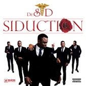 Siduction (Deluxe Edition) artwork