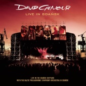 David Gilmour - Wish You Were Here (Live In Gdansk)