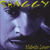 Shaggy - Tender Love