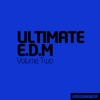 Ultimate Electronic Dance Music, Vol. Two