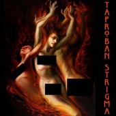 Taproban - Nesia al notturno congresso delle streghe
