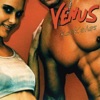 Venus - Kockahas