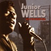 Junior Wells: Best of the Vanguard Years