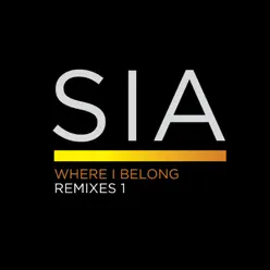 Where I Belong - Remixes 1 - Single - Sia