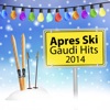 Apres Ski Gaudi Hits 2014