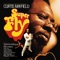 Give Me Your Love (Love Song) - Curtis Mayfield lyrics