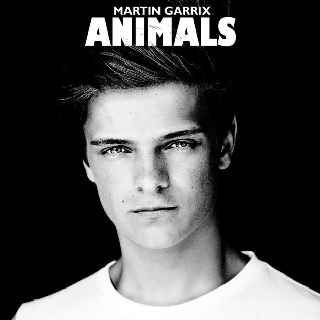 Download Music Martin Garrix Animals