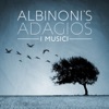 Albinoni's Adagios, 2013