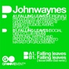Johnwaynes - Falling Leaves