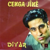 Cenga Jînê artwork