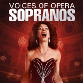 Voices of Opera: Sopranos artwork