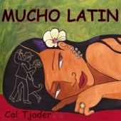 Lotsa Latin artwork