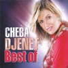 Cheba Djenet, Best Of