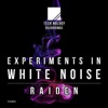 Experiments in White Noise - EP