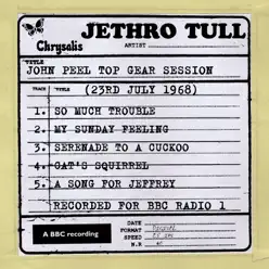 John Peel Top Gear Session: Jethro Tull (23rd July 1968) - EP - Jethro Tull