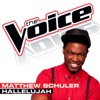 Hallelujah (The Voice Performance) - Single, 2013