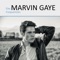 Marvin Gaye - Gay Frequencies lyrics