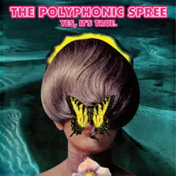 Yes, It's True - The Polyphonic Spree