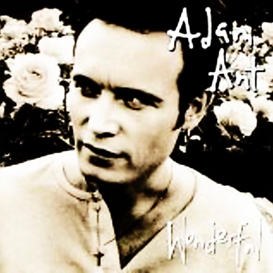 Cover artwork for Norman