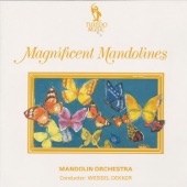 Magnificent Mandolines artwork