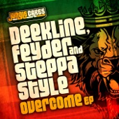 Overcome (feat. Spruddy One) [Reggae Mix] artwork