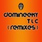 TLC (Good Voodoo Society Remix) - Domineeky lyrics