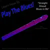 Learn How to Play the Blues! (Straight Ahead Blues in Bb) [For Recorder Players] - Single album lyrics, reviews, download