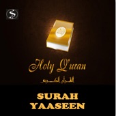 Surah Yaseen (feat. Sheikh Mishary Rashid Alafasy) artwork