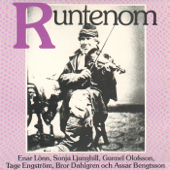 Runtenom - Various Artists