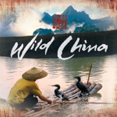 Wild China Theme (feat. The BBC Concert Orchestra and the UK Chinese Ensemble) artwork