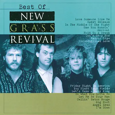 Best of New Grass Revival - New Grass Revival