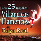 Villancicos Flamencos. Los 25 Mejores artwork