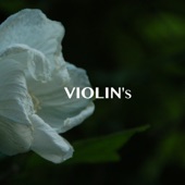 Violin's - Ghibli Music artwork