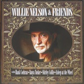 Willie Nelson - Ain't Life Hell