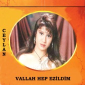 Hep Ezildim artwork