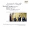 Twll Yn Ei Boch, Hob. XXXIb:10 - Lorna Anderson, Jamie MacDougall & Haydn Trio Eisenstadt lyrics
