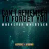 Can't Remember To Forget You - Single album lyrics, reviews, download