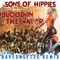 Blood in the Water (The Raveonettes Remix) - Sons of Hippies lyrics