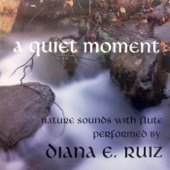 Diana E. Ruiz - Inner Dance