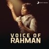 A. R. Rahman - Aaruyire (From "Guru")
