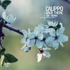 Back There (EDX Remixes) - Single by Calippo album reviews, ratings, credits