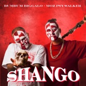 Shango Intro artwork