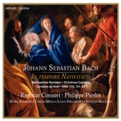 J.S. Bach: In tempore Nativitatis - Christmas Cantatas, BWV 110, 151, 63 artwork