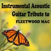Instrumental Acoustic Guitar Tribute to Fleetwood Mac